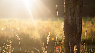 网页DDOS攻击平台