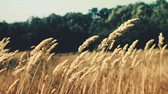 服务器攻击方式